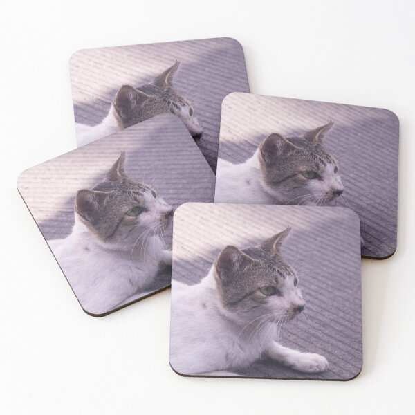 Item preview, Cat on the Side Street designed and sold by ROSE ANN BANILAR.