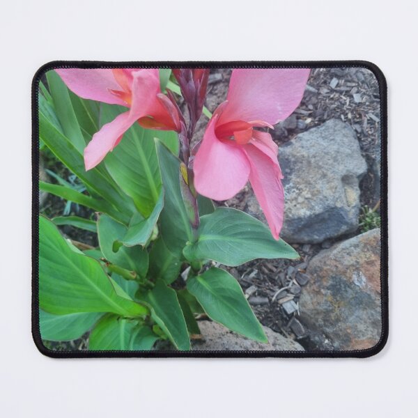 Item preview, Lily designed and sold by BrittanyWilton.