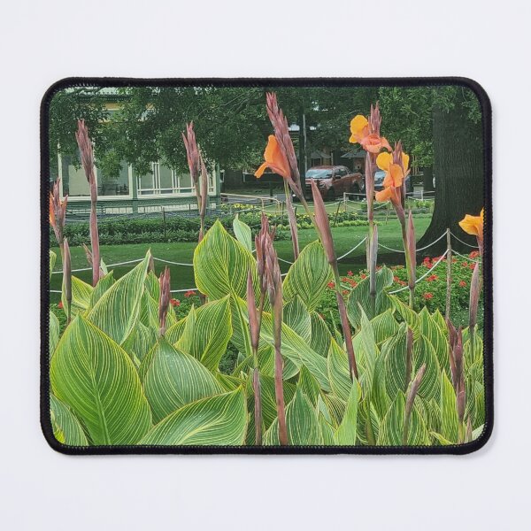 Item preview, Canna Lily designed and sold by BrittanyWilton.