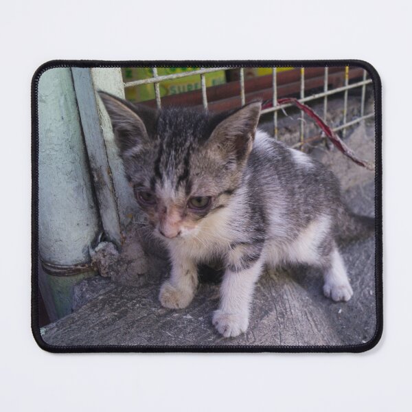 Item preview, Cute Kitty designed and sold by ROSE ANN BANILAR.