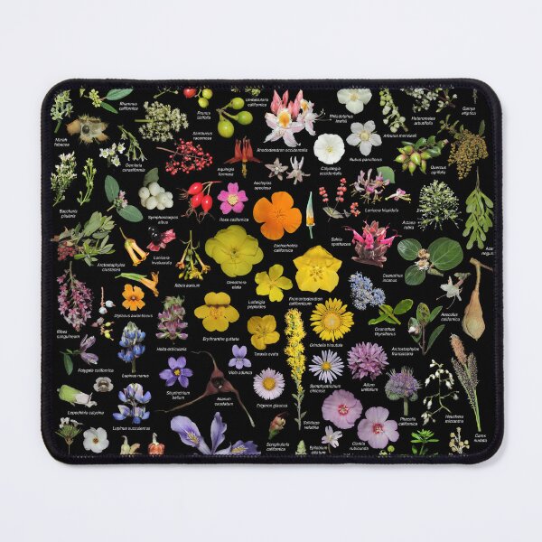 Item preview, Native Plants of San Francisco designed and sold by Ricardo Kriebel.
