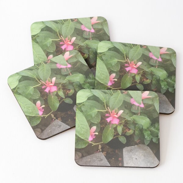 Item preview, Fuchsia designed and sold by BrittanyWilton.