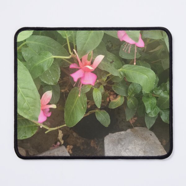 Item preview, Fuchsia designed and sold by BrittanyWilton.