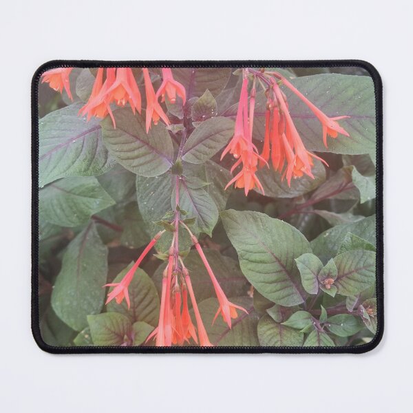 Item preview, Fuchsia designed and sold by BrittanyWilton.
