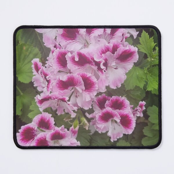 Item preview, Pelargonium designed and sold by BrittanyWilton.