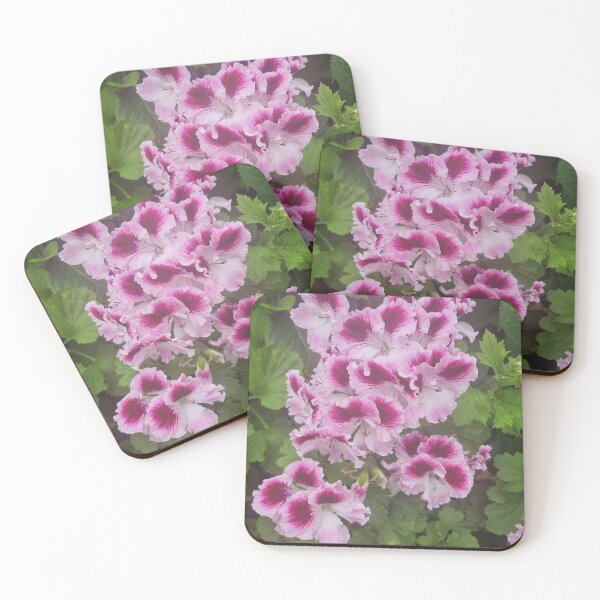 Item preview, Pelargonium designed and sold by BrittanyWilton.