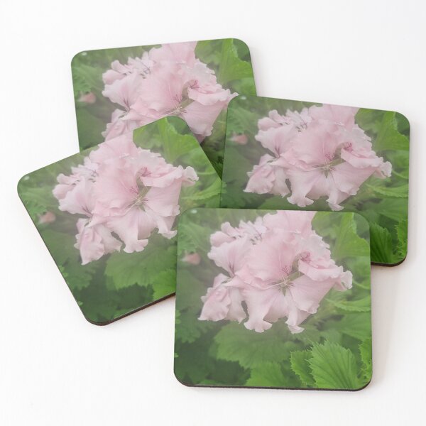Item preview, Pelargonium designed and sold by BrittanyWilton.