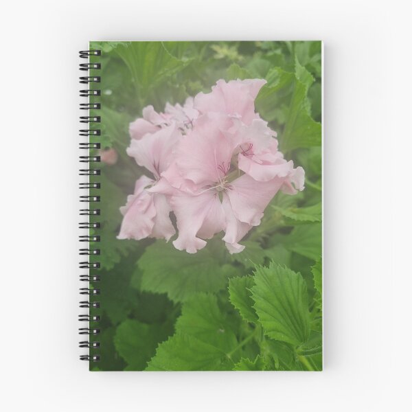 Item preview, Pelargonium designed and sold by BrittanyWilton.
