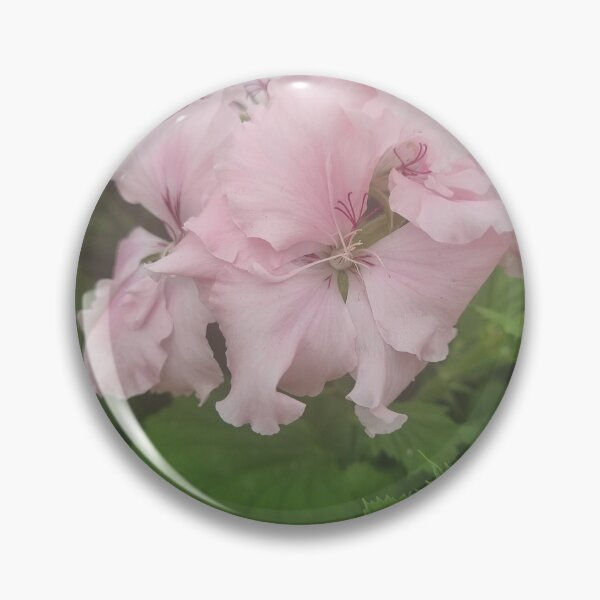 Item preview, Pelargonium designed and sold by BrittanyWilton.