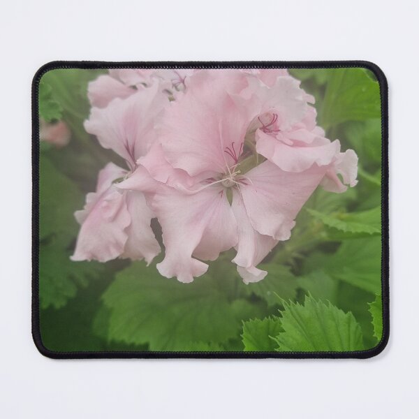 Item preview, Pelargonium designed and sold by BrittanyWilton.