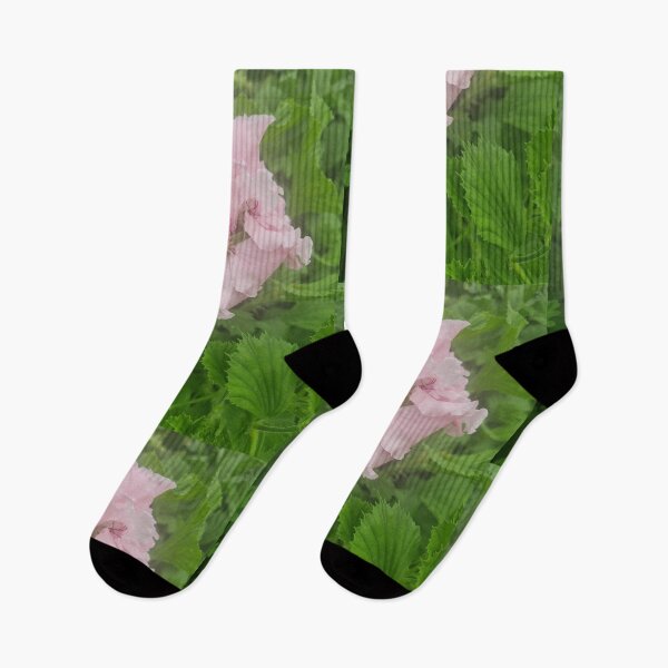 Item preview, Pelargonium designed and sold by BrittanyWilton.