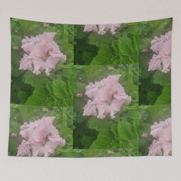 Item preview, Pelargonium designed and sold by BrittanyWilton.