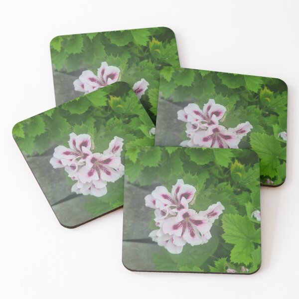 Item preview, Pelargonium designed and sold by BrittanyWilton.