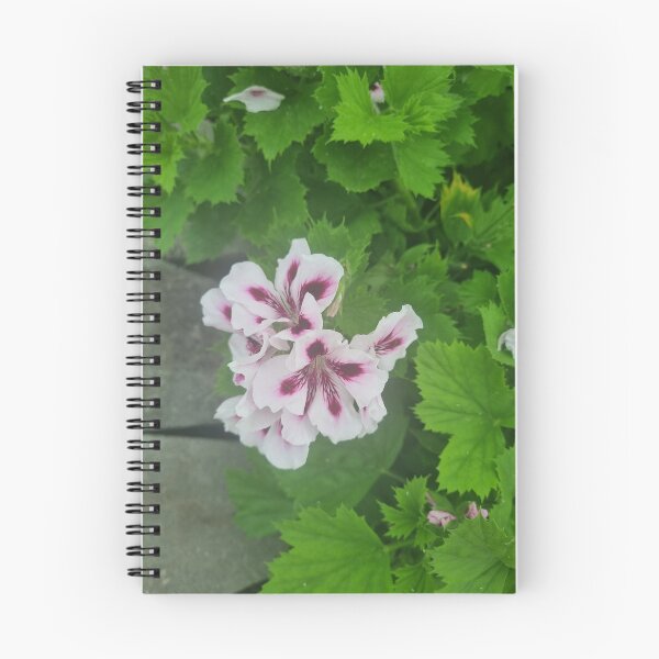 Item preview, Pelargonium designed and sold by BrittanyWilton.