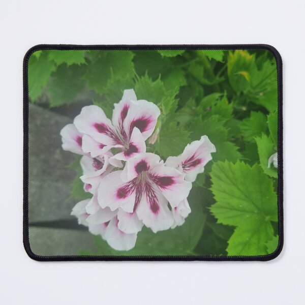 Item preview, Pelargonium designed and sold by BrittanyWilton.