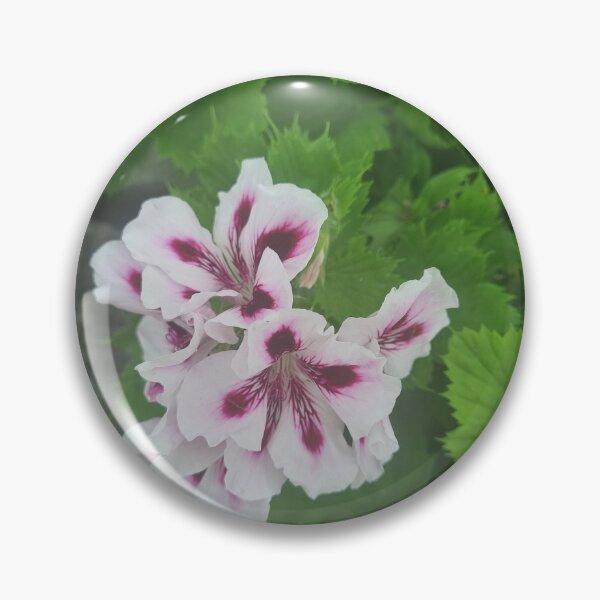 Item preview, Pelargonium designed and sold by BrittanyWilton.
