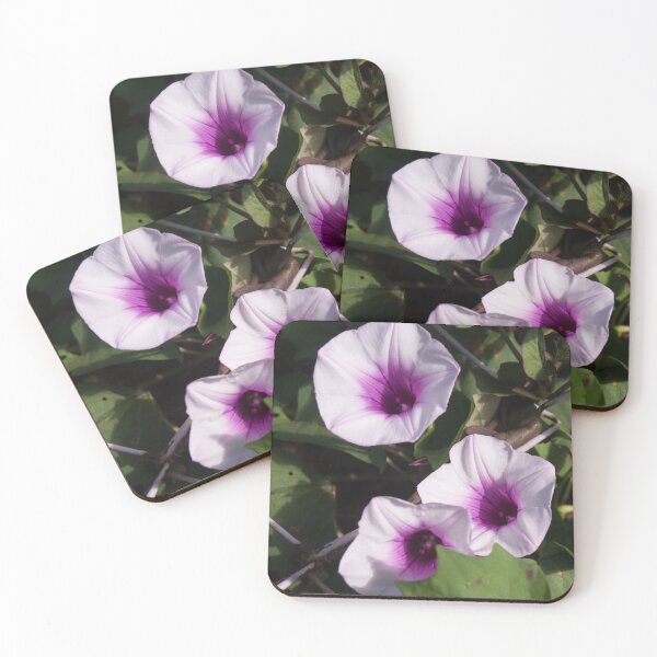 Item preview, Sweet Potato Vine designed and sold by ROSE ANN BANILAR.