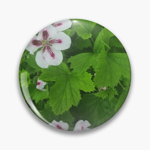 Item preview, Pelargonium designed and sold by BrittanyWilton.