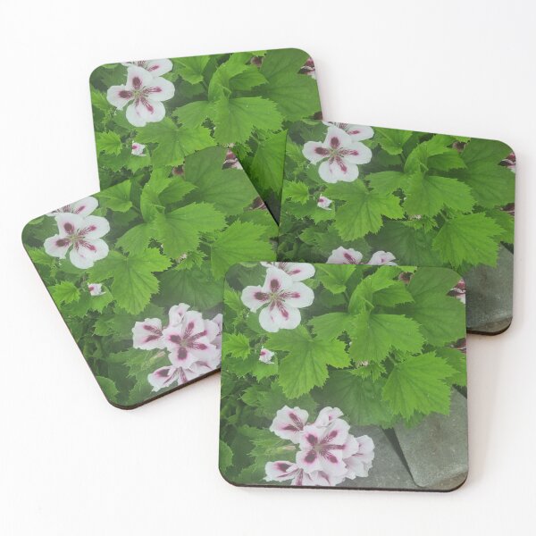 Item preview, Pelargonium designed and sold by BrittanyWilton.