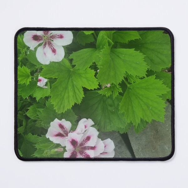 Item preview, Pelargonium designed and sold by BrittanyWilton.