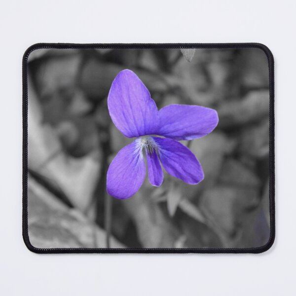Item preview, Selective Color Purple Violet Flower Photography designed and sold by Blossom-Breeze.