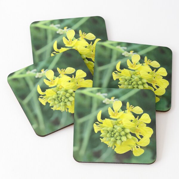 Item preview, Yellow mustard flower in grass designed and sold by TcDorsey88.