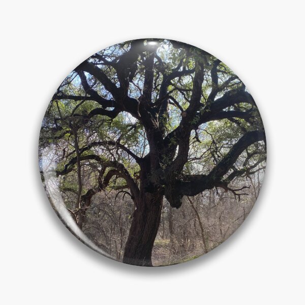 Artikelvorschau, Düsterer Baum entworfen und verkauft von TcDorsey88.