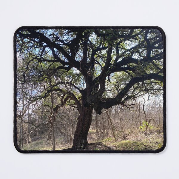 Item preview, Dreary tree designed and sold by TcDorsey88.