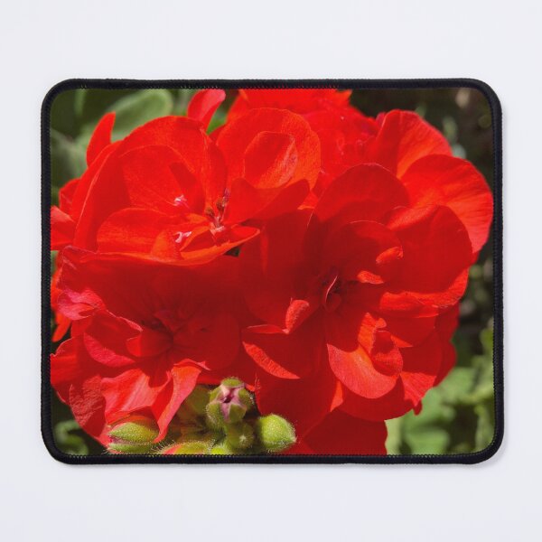 Item preview, Red geranium designed and sold by TcDorsey88.