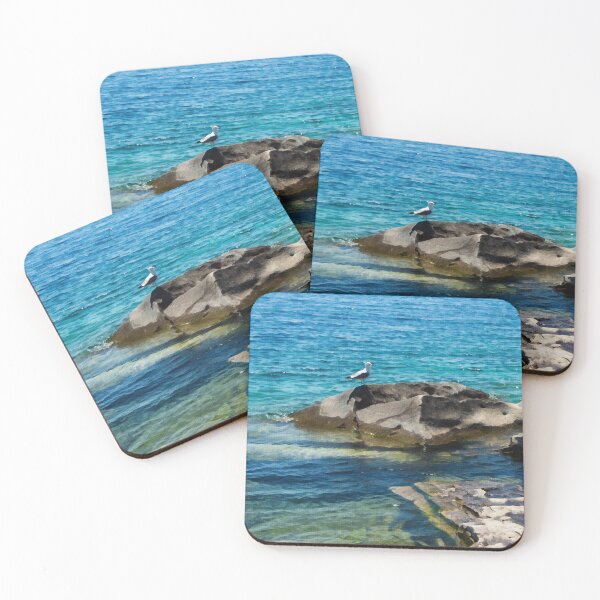 Item preview, Seagull Resting on Seaside Rocks designed and sold by CMi-Designs.