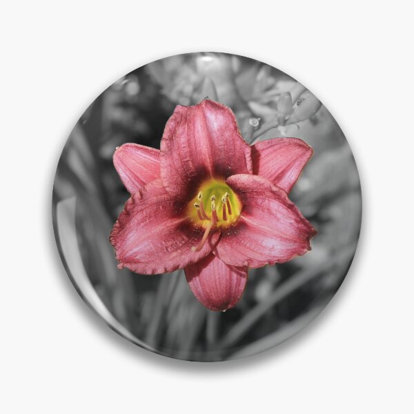 Item preview, Crimson Daylily in Selective Color Photography designed and sold by Blossom-Breeze.