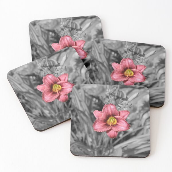 Item preview, Crimson Daylily in Selective Color Photography designed and sold by Blossom-Breeze.