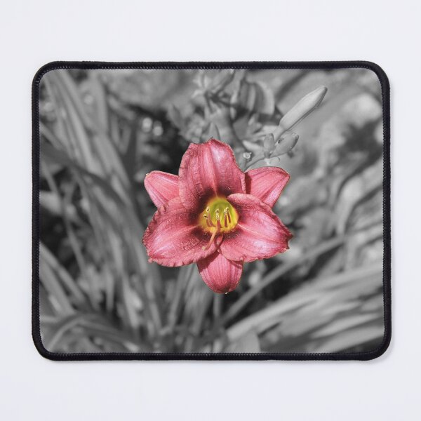 Item preview, Crimson Daylily in Selective Color Photography designed and sold by Blossom-Breeze.