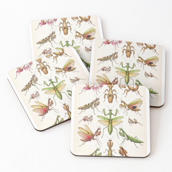 Item preview, Praying Mantis from Around the World designed and sold by wildtribe.