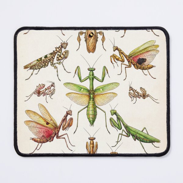Item preview, Praying Mantis from Around the World designed and sold by wildtribe.