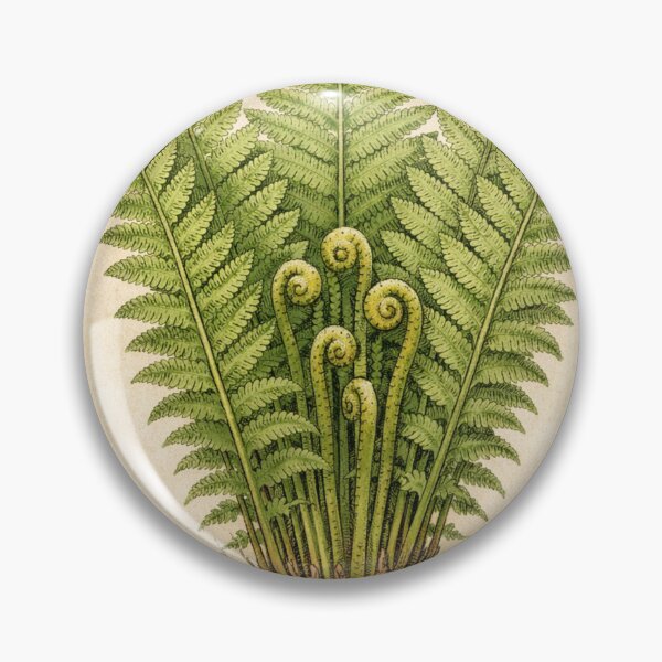 Item preview, Matteuccia Struthiopteris Vintage Botanical Print - Antique Fern Wall Art designed and sold by Darlin8888.