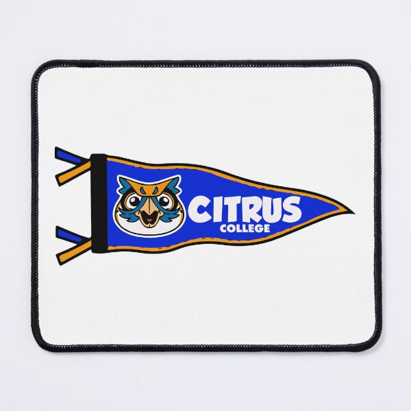 Item preview, Citrus College Fighting Owls Vintage Pennant designed and sold by xughtr.