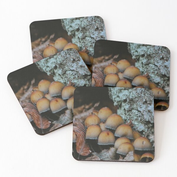 Item preview, Shimmering Inkcaps designed and sold by DimitrovPrints .