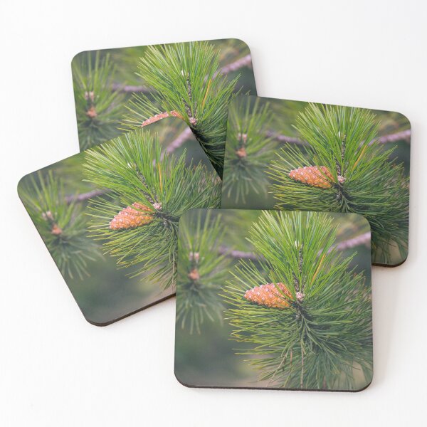 Item preview, Pine Cone in the Needles designed and sold by DimitrovPrints .