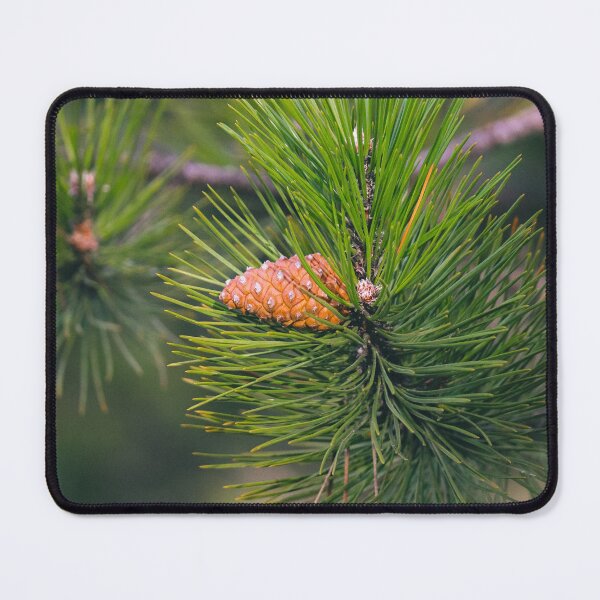 Item preview, Pine Cone in the Needles designed and sold by DimitrovPrints .