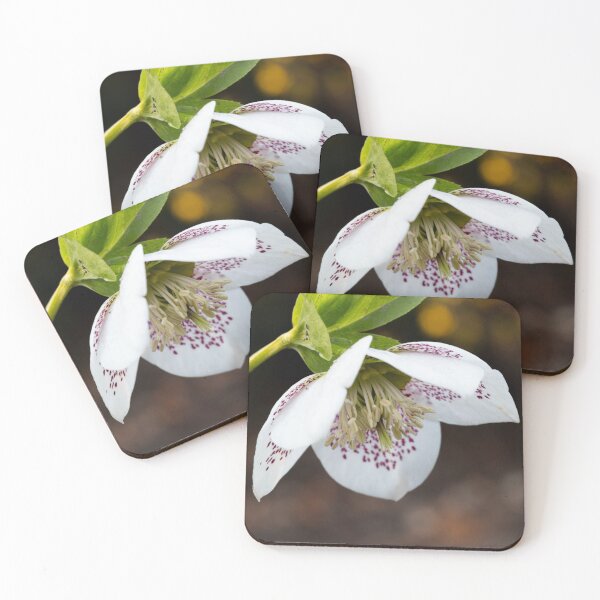 Item preview, connie hellebore designed and sold by codaimages.