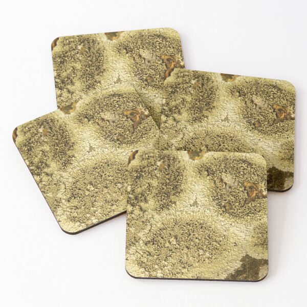 Item preview, green moss on the stone designed and sold by felipequeiroz.