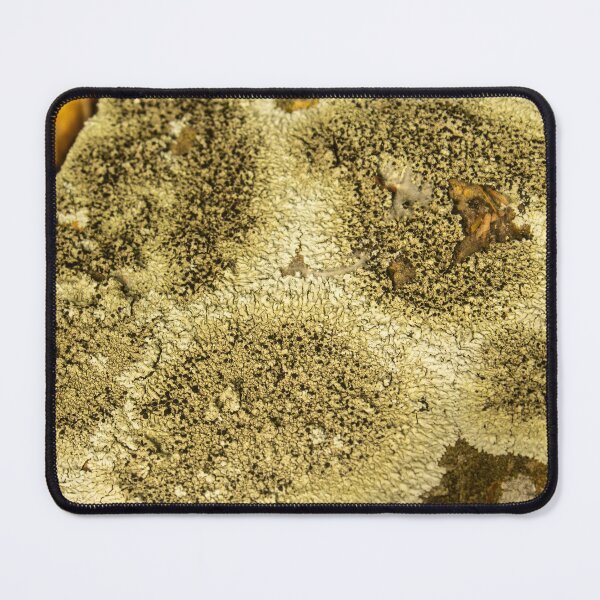Item preview, green moss on the stone designed and sold by felipequeiroz.