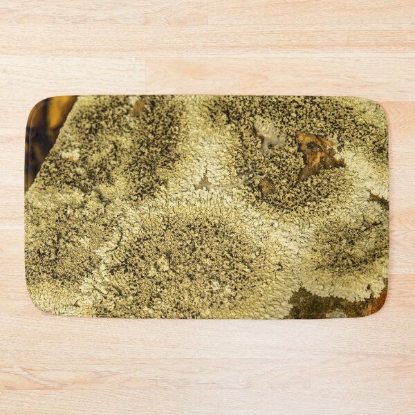 Item preview, green moss on the stone designed and sold by felipequeiroz.