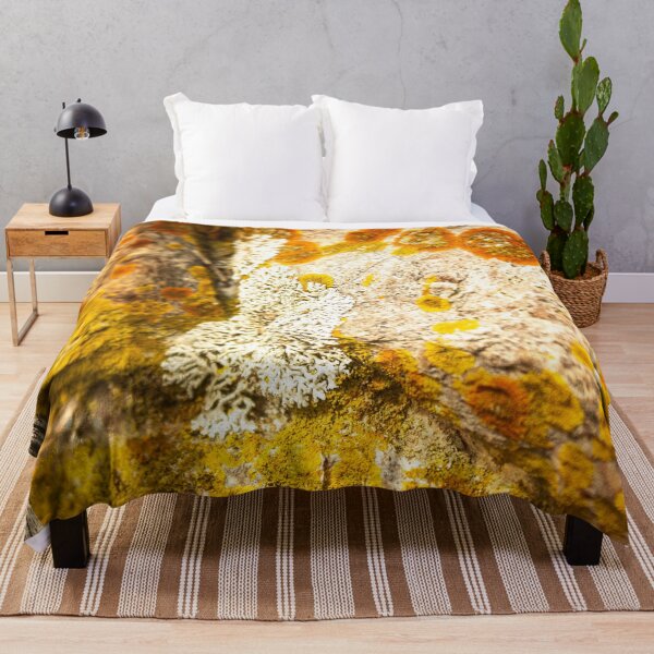 Item preview, orange moss on the stone 17 designed and sold by felipequeiroz.