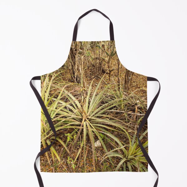 Item preview, macambira from Brazil designed and sold by felipequeiroz.