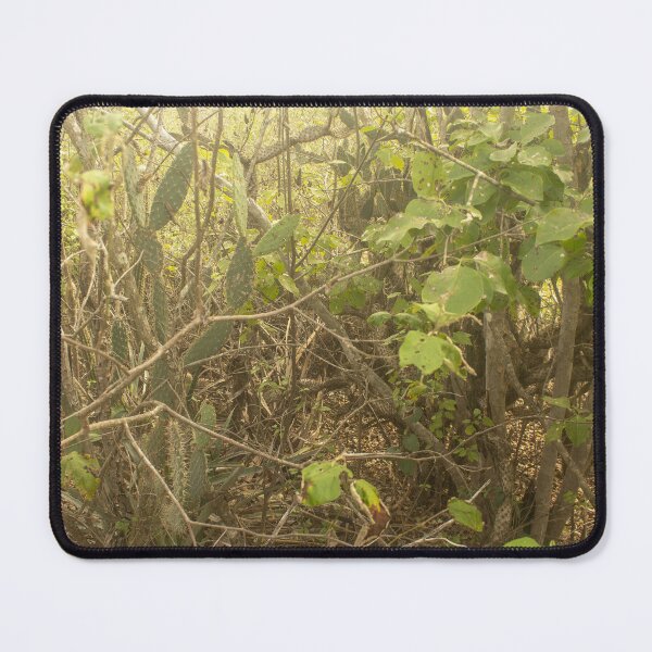 Item preview, Brazilian caatinga designed and sold by felipequeiroz.