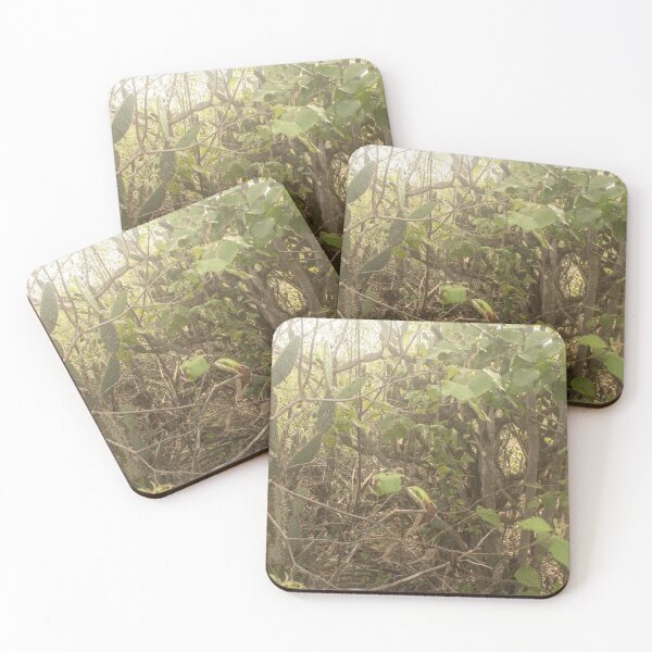 Item preview, Brazilian caatinga 2 designed and sold by felipequeiroz.