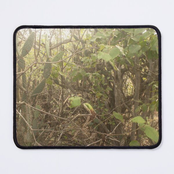 Item preview, Brazilian caatinga 2 designed and sold by felipequeiroz.