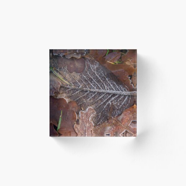 Item preview, Frosted Winter Leaf designed and sold by ShotsbyDesiree.
